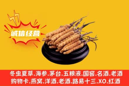 潍坊奎文区回收冬虫夏草